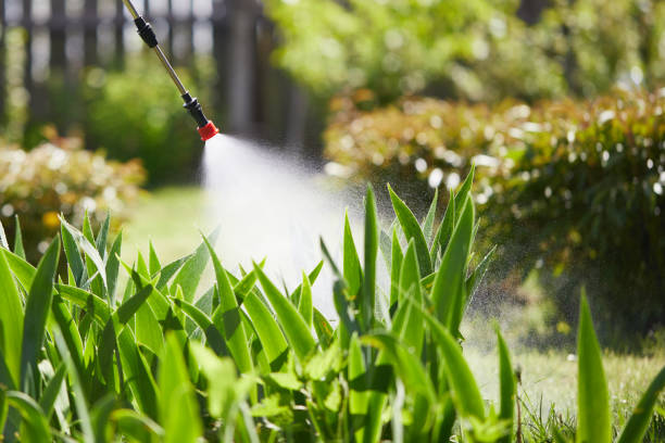 24/7 Emergency Mosquito Control experts in Woodcliff Lake, NJ