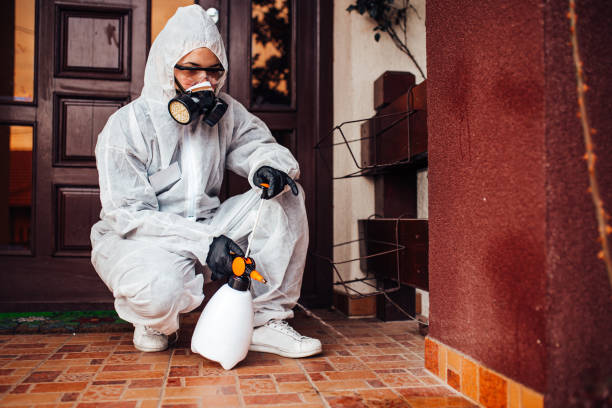 Reliable Mosquito Control contractor in Woodcliff Lake, NJ by Nex Pest Control
